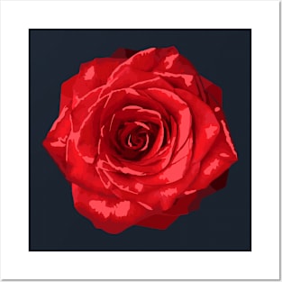 Rose Flower Abstract Nature Art Posters and Art